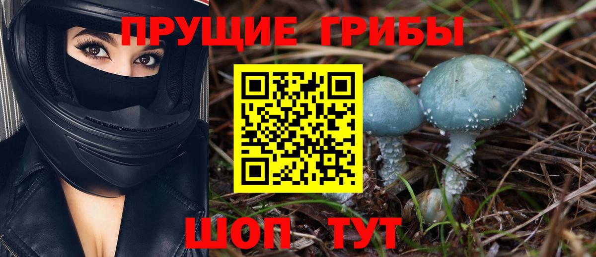 Псилоцибиновые грибы GOLDEN TEACHER Донской